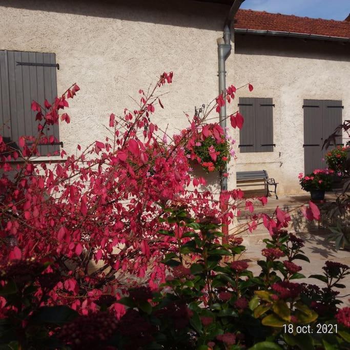 Maison Aux Portes Du Centre Historique De Dijon Avec 3 Chambres Et Garage Kültér fotó